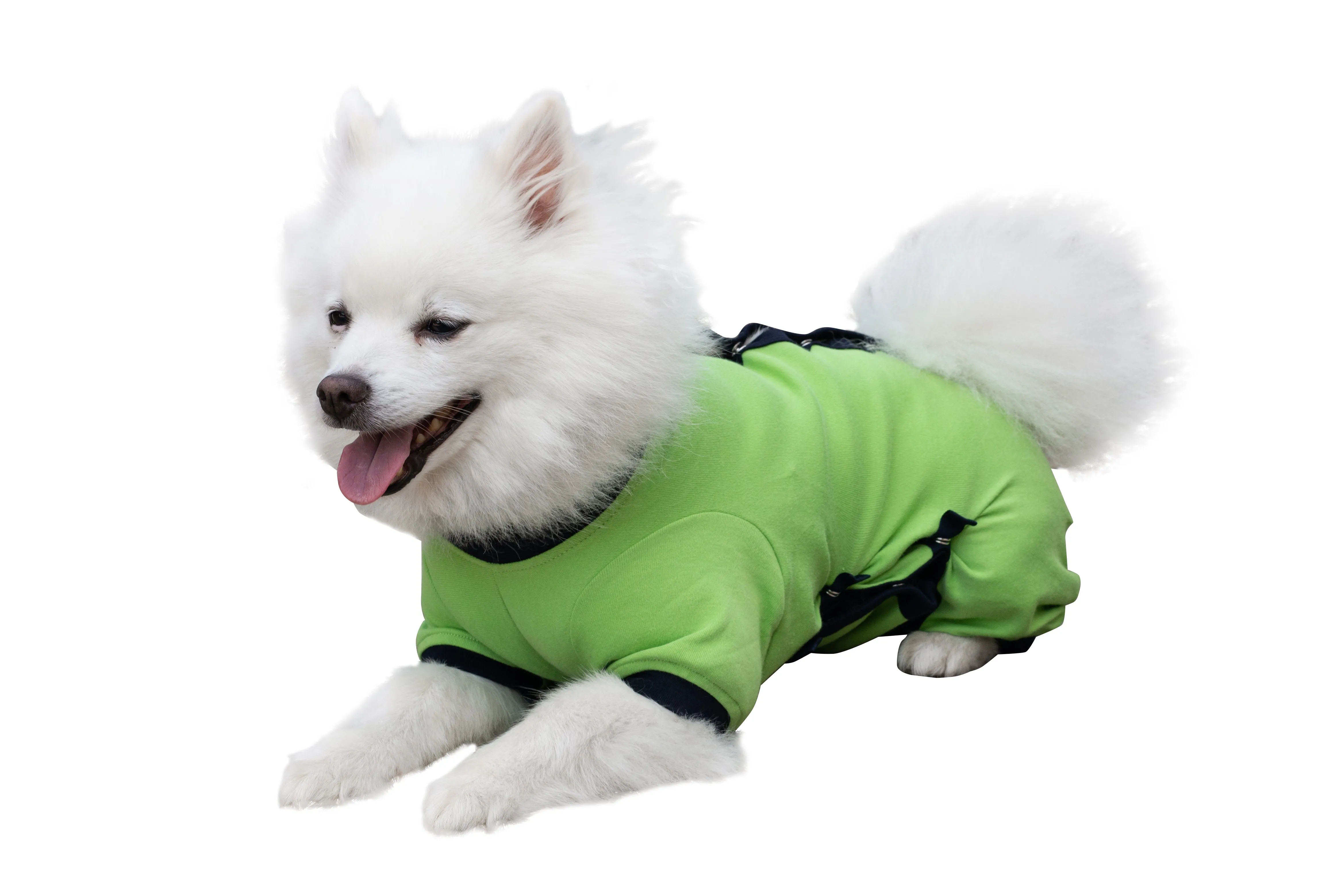 Tulane's Closet Post Surgery Dog Onesie