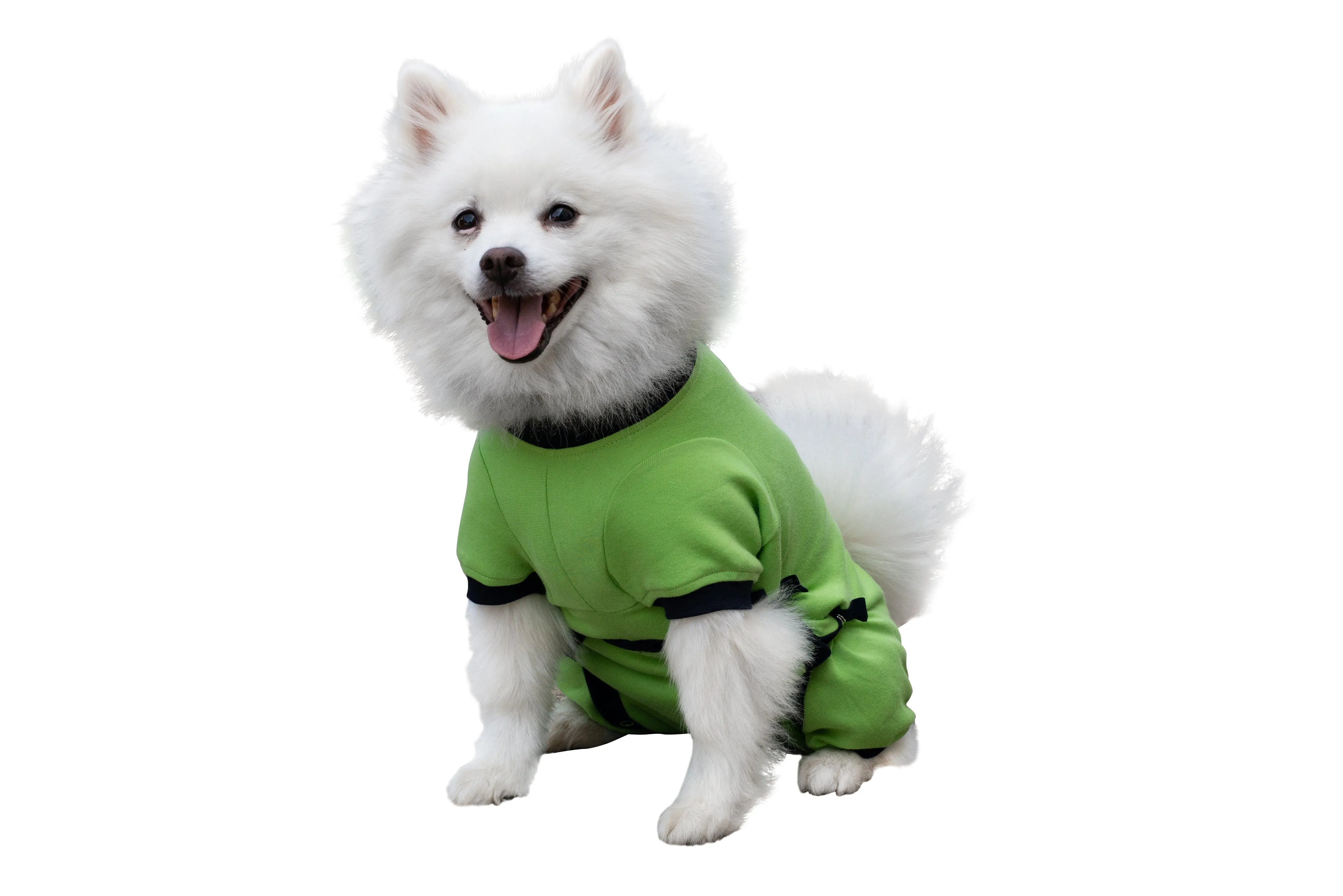 Tulane's Closet Post Surgery Dog Onesie