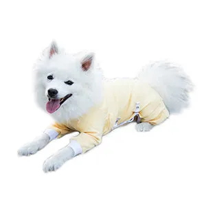 Tulane's Closet Post Surgery Dog Onesie